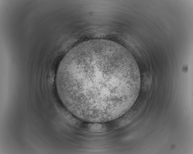 X0000096690230200802261548