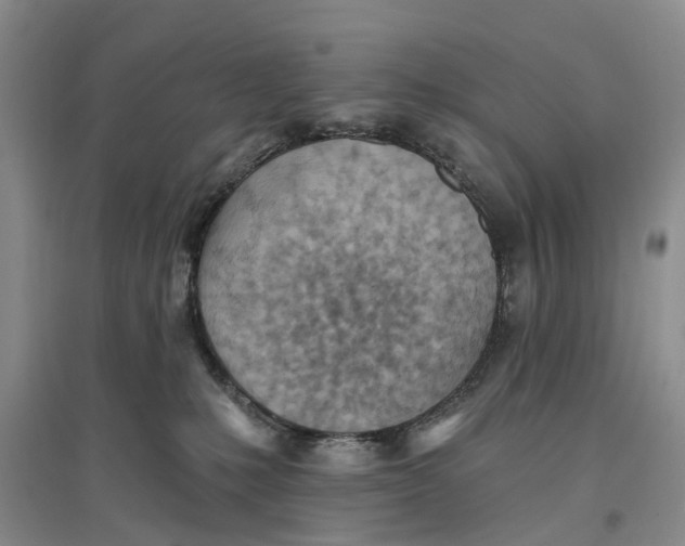 X0000096690231200802261548