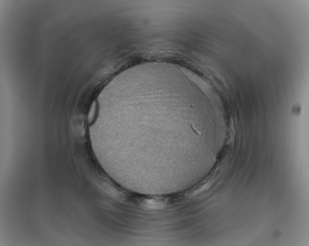 X0000096690232200802261548