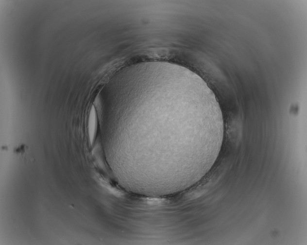 X0000096690233200802261548