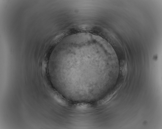 X0000096690235200802261548