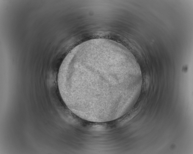 X0000096690236200802261548