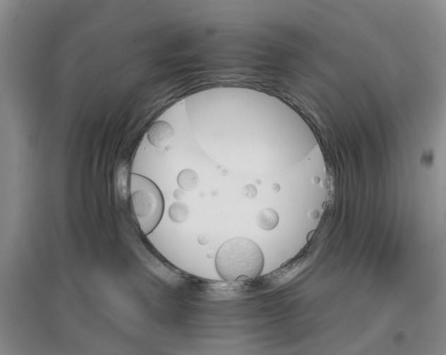 X0000096690238200802261548