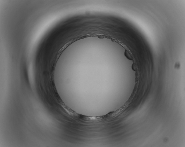 X0000096690239200802261548