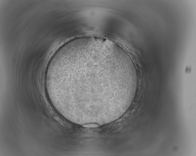 X0000096690241200802261547