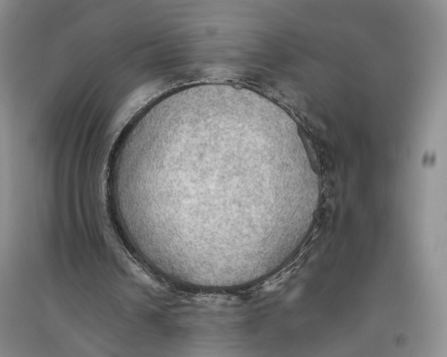 X0000096690242200802261547