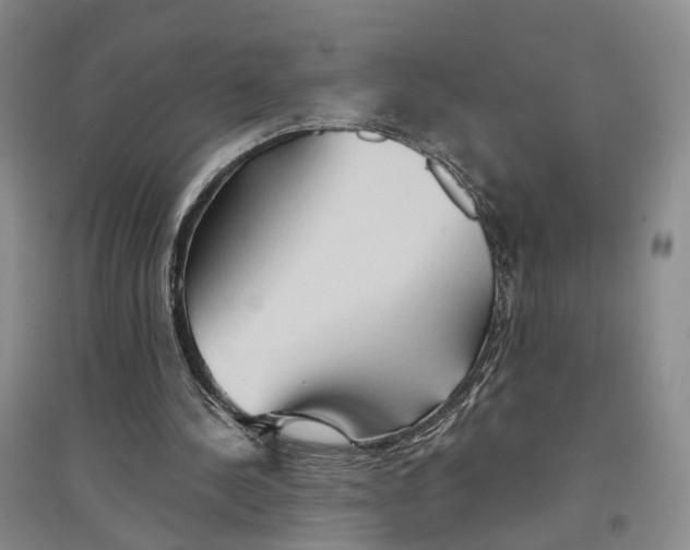 X0000096690244200802261547