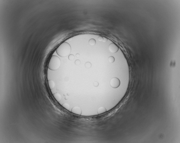 X0000096690245200802261547