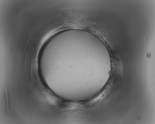 X0000096690246200802261547