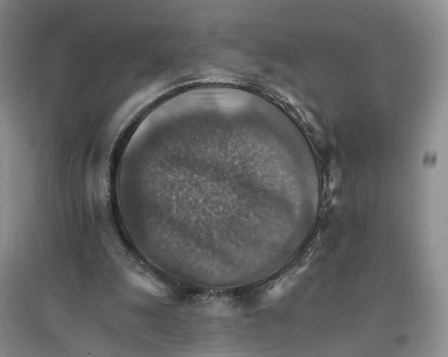 X0000096690247200802261547