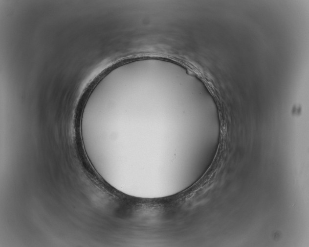 X0000096690248200802261547