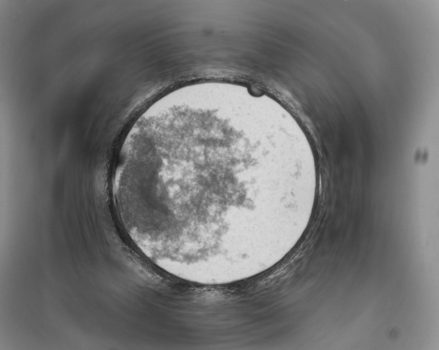 X0000096690249200802261547