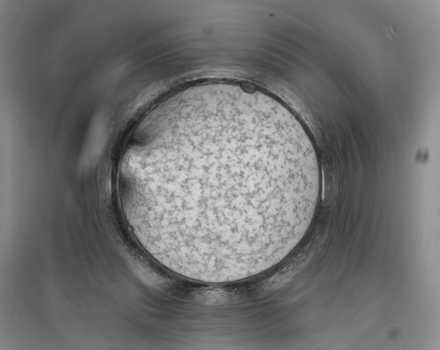 X0000096690253200802261547