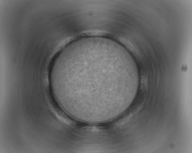 X0000096690254200802261547