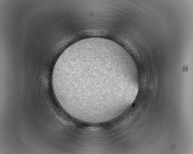 X0000096690255200802261547