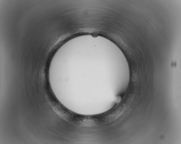 X0000096690256200802261547