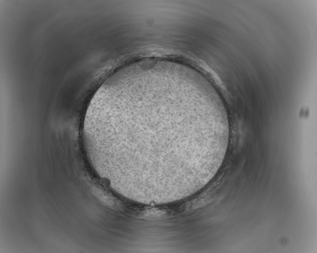 X0000096690257200802261548