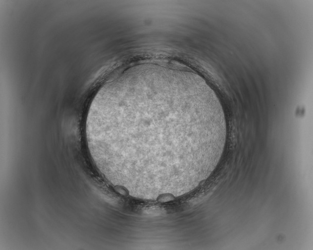 X0000096690258200802261548