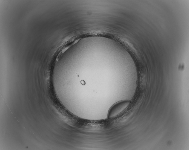 X0000096690260200802261548