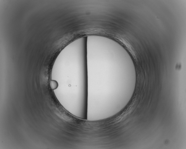 X0000096690261200802261548