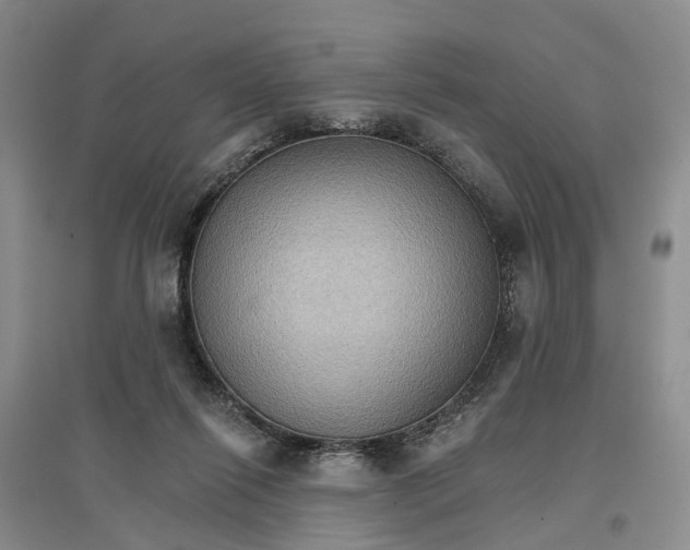 X0000096690262200802261548