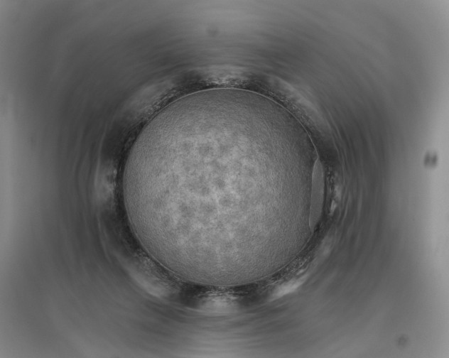 X0000096690263200802261548