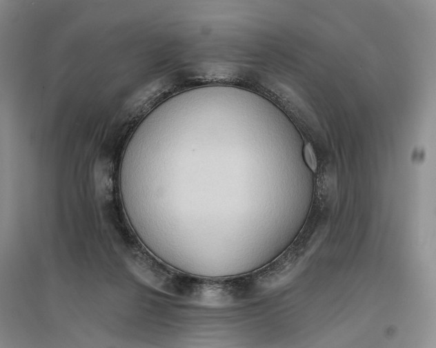 X0000096690264200802261548