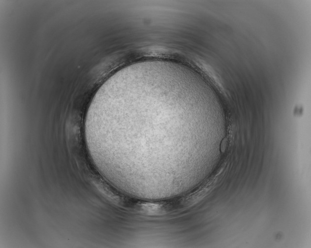 X0000096690265200802261548