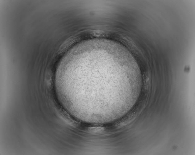 X0000096690266200802261548