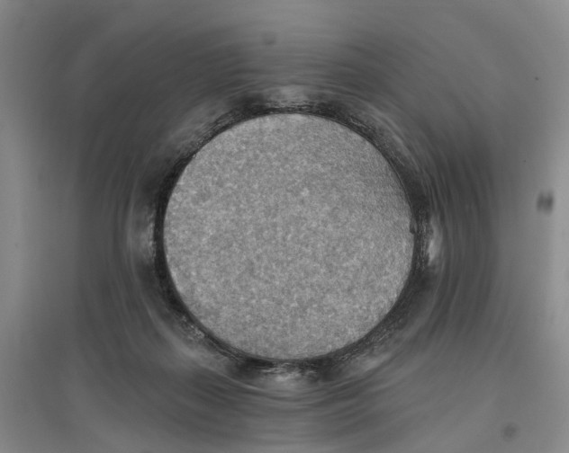 X0000096690267200802261548