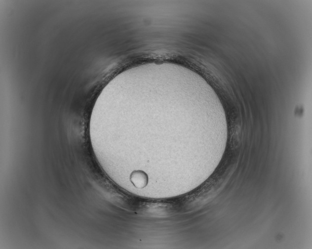 X0000096690268200802261548