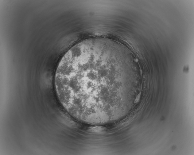 X0000096690269200802261548