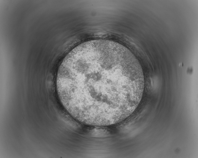 X0000096690270200802261548