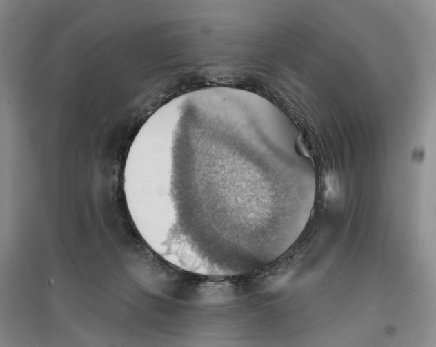 X0000096690271200802261548