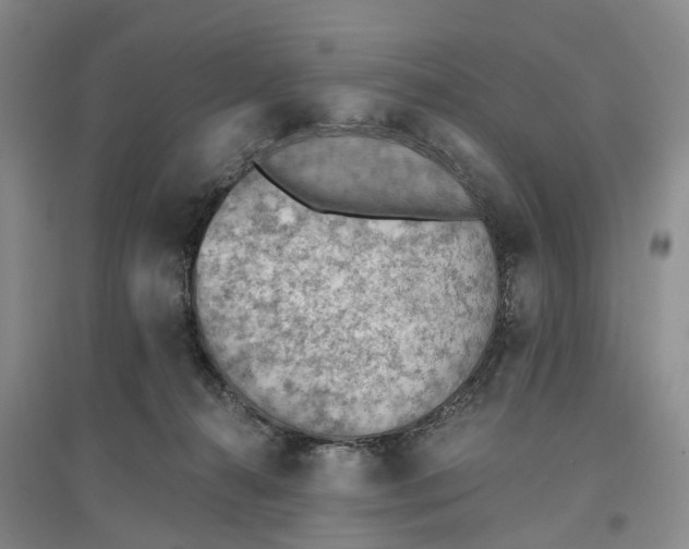 X0000096690272200802261548