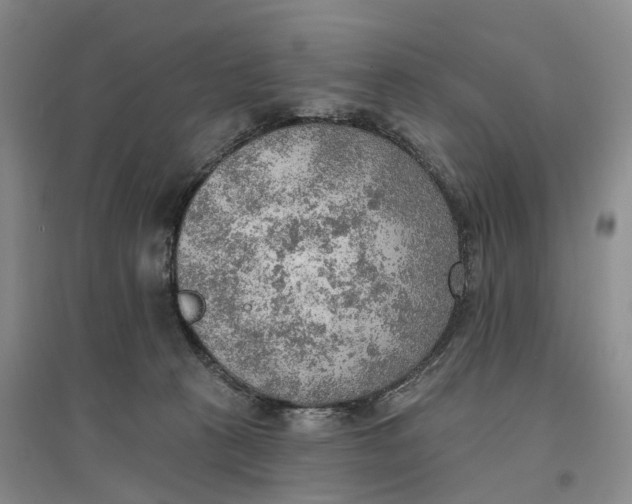 X0000096690273200802261548