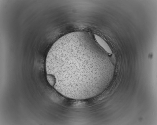 X0000096690274200802261548