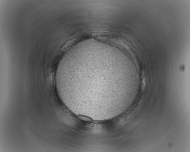 X0000096690276200802261548