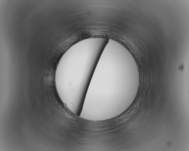 X0000096690277200802261548