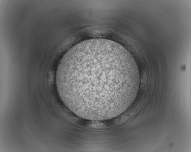 X0000096690278200802261548