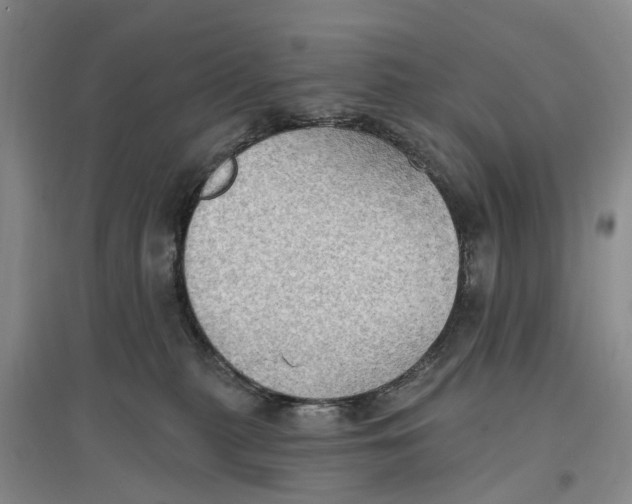 X0000096690279200802261548