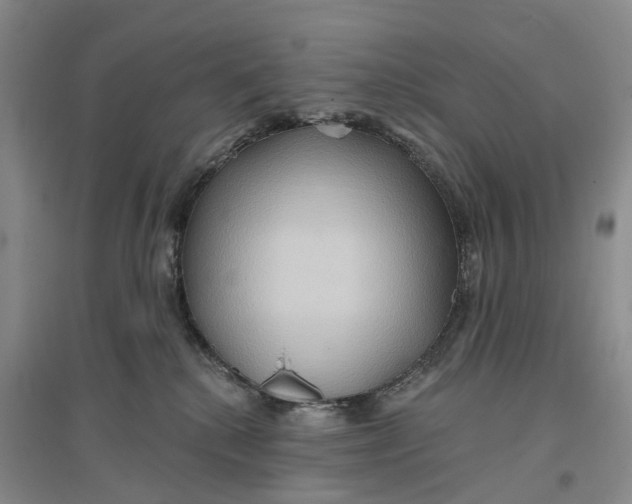 X0000096690280200802261548