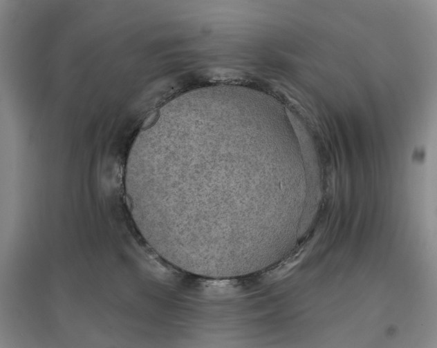 X0000096690281200802261548