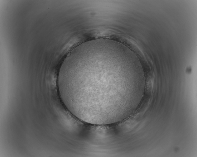 X0000096690282200802261548