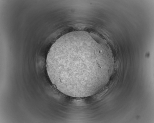 X0000096690283200802261548