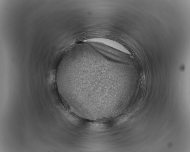 X0000096690284200802261548