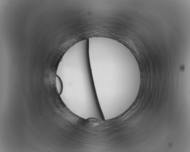 X0000096690285200802261548