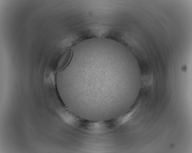 X0000096690286200802261548