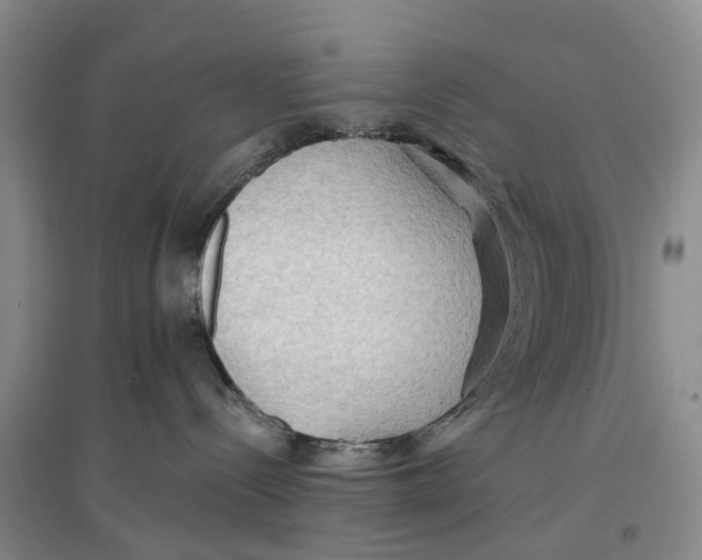 X0000096690288200802261548