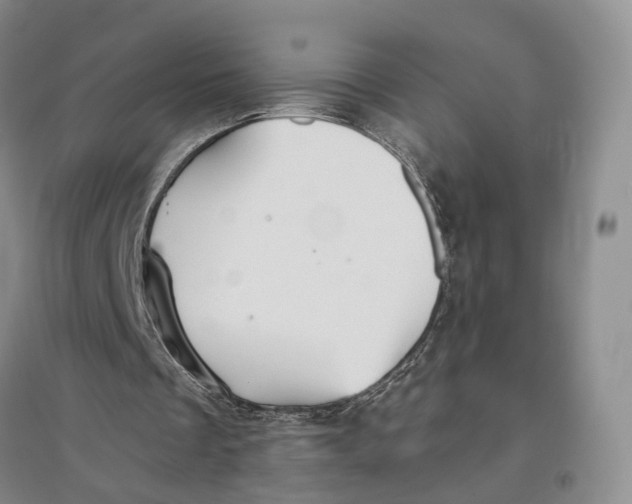 X0000096690289200802261547